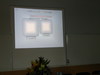 Photo_61