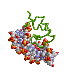 molecule.gif (11304 bytes)